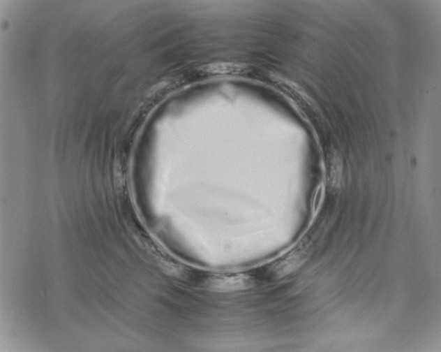 X0000075360569200609251105