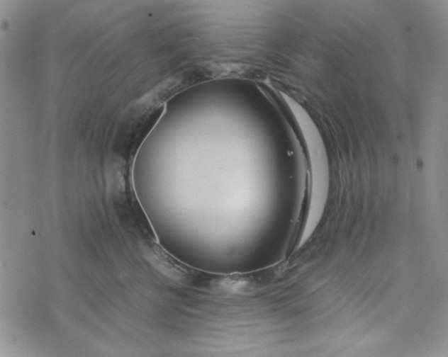 X0000075360570200609251105