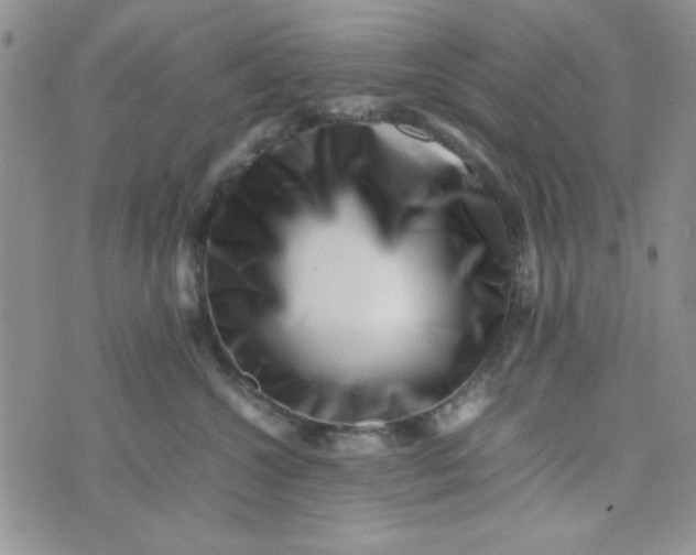 X0000075360572200609251105