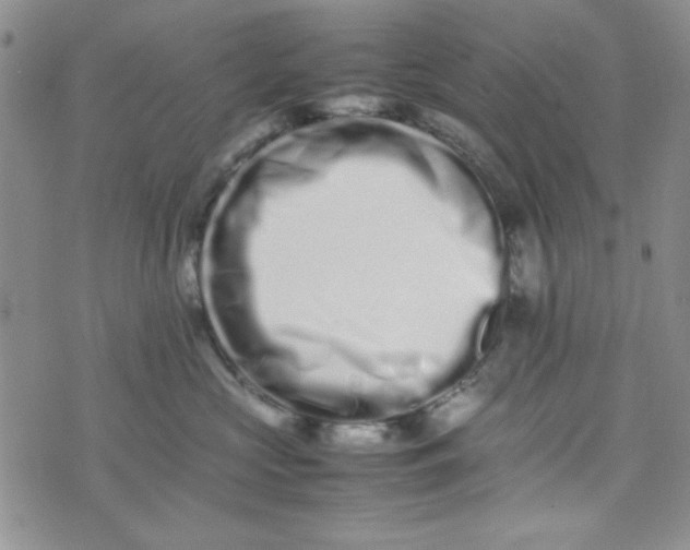 X0000075360573200609251105