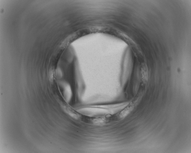 X0000075360574200609251105