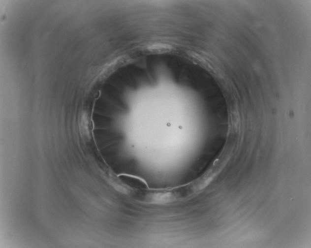 X0000075360575200609251105