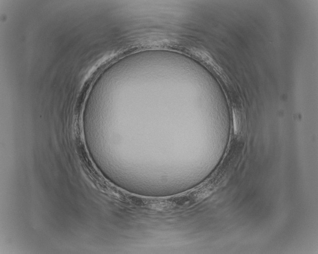 X0000075360579200609251104