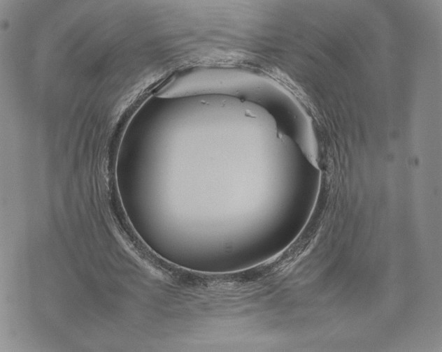 X0000075360581200609251104