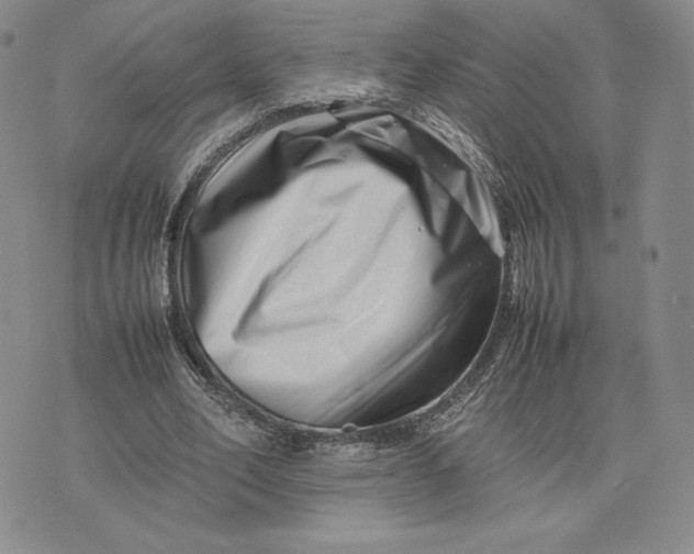 X0000075360582200609251104