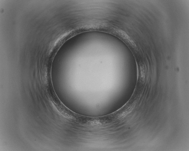 X0000075360588200609251104