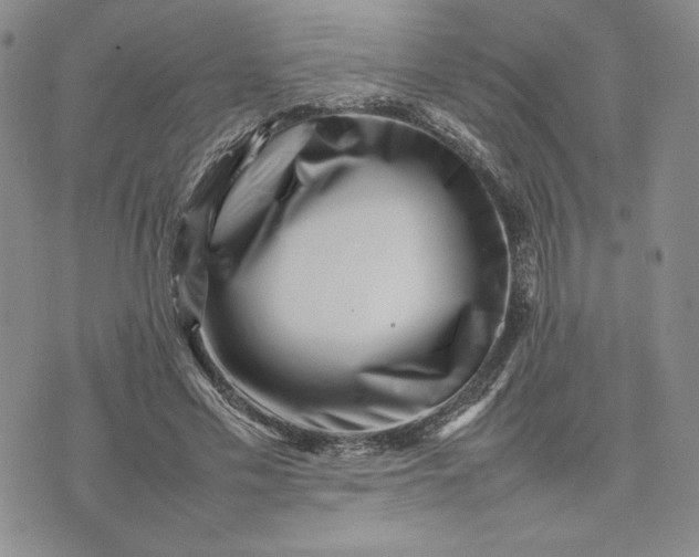 X0000075360589200609251104