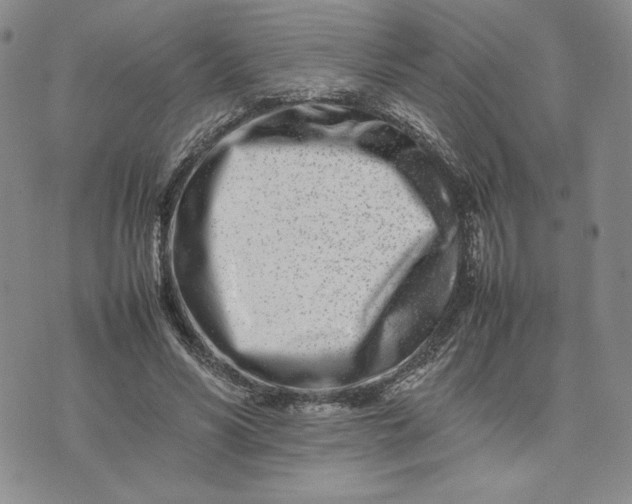 X0000075360590200609251104