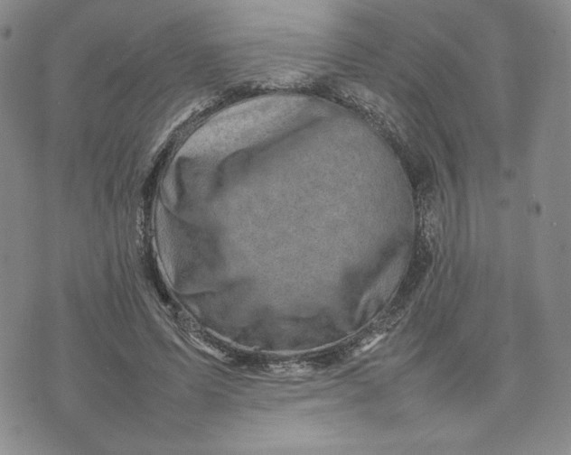 X0000075360591200609251104