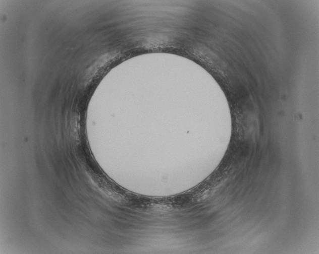 X0000075360592200609251104