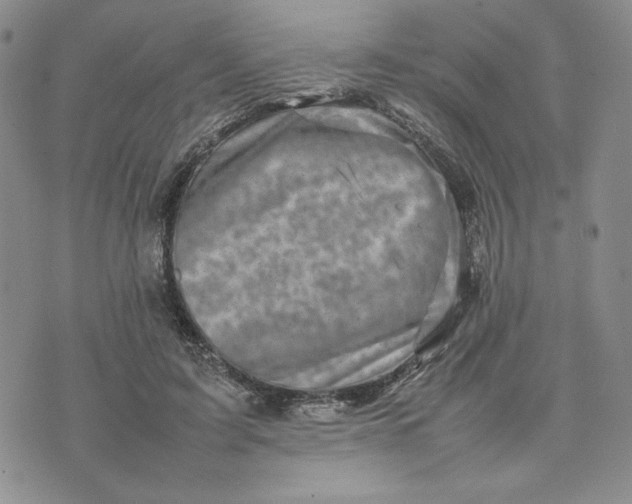 X0000075360595200609251104