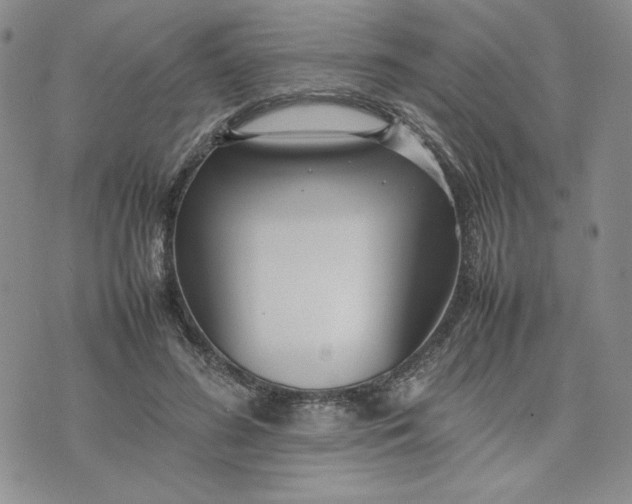 X0000075360596200609251104