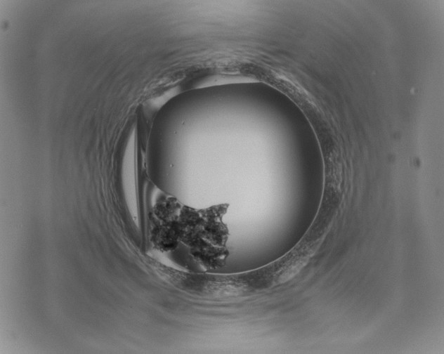 X0000075360597200609251104