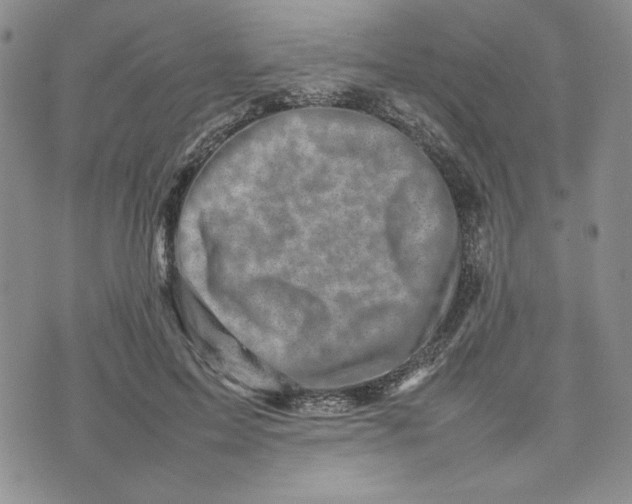 X0000075360599200609251104