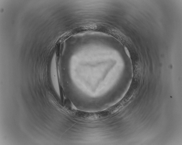 X0000075360600200609251104