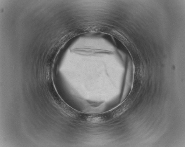 X0000075360602200609251104