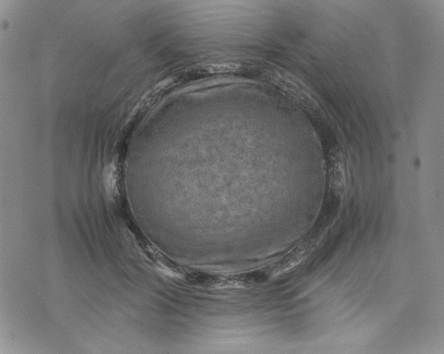 X0000075360604200609251104