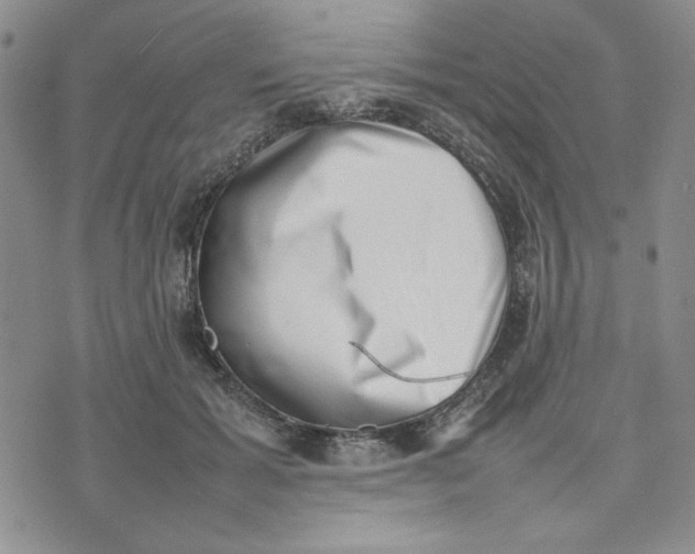 X0000075360605200609251104