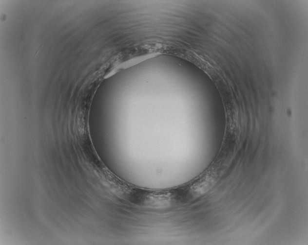 X0000075360606200609251104