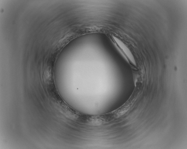 X0000075360608200609251103