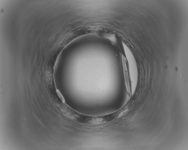 X0000075360609200609251103