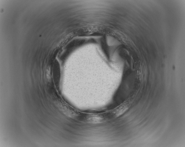 X0000075360610200609251103