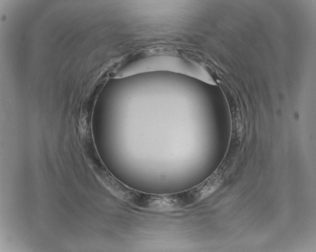 X0000075360611200609251103