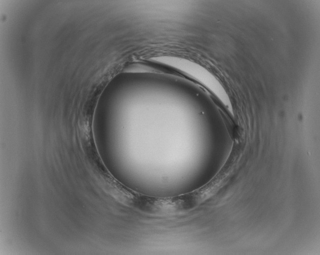 X0000075360613200609251103