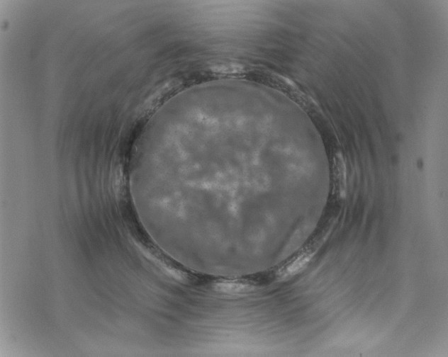 X0000075360614200609251103