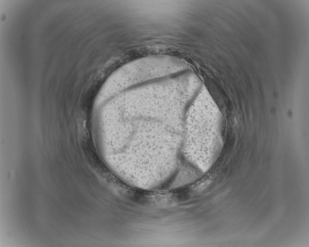 X0000075360615200609251103