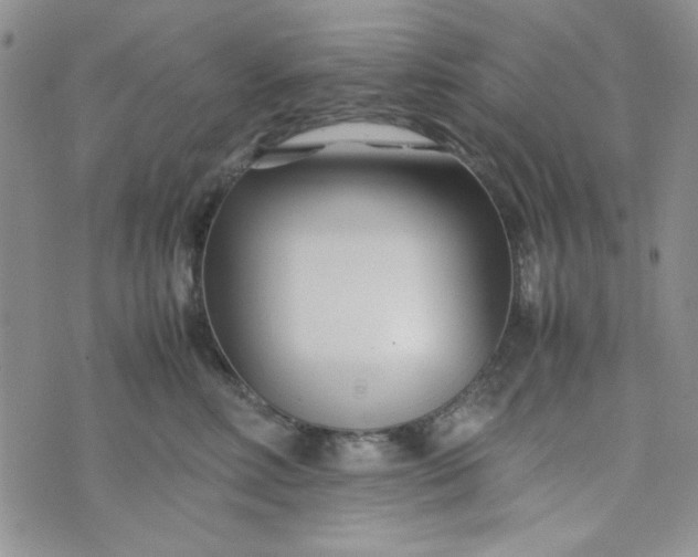 X0000075360618200609251103