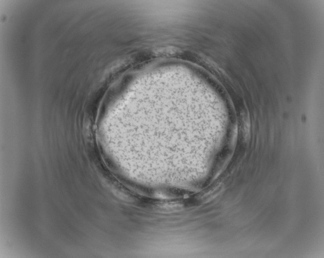 X0000075360619200609251103