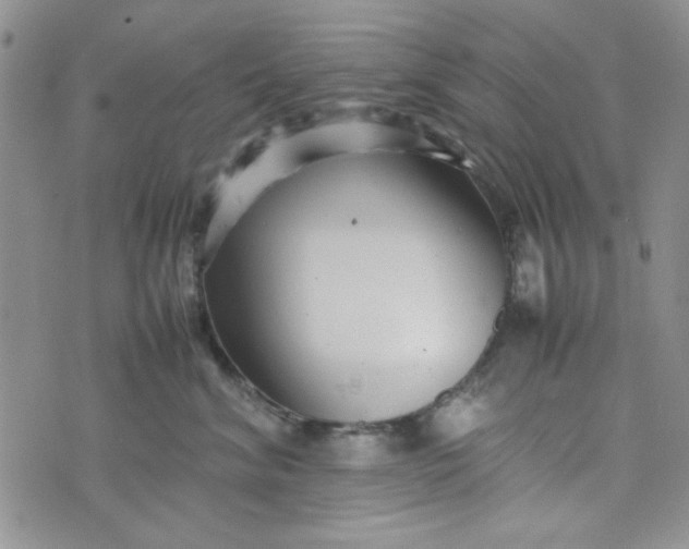 X0000075360620200609251103