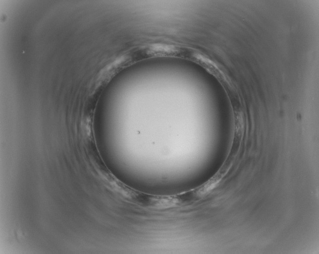 X0000075360621200609251103