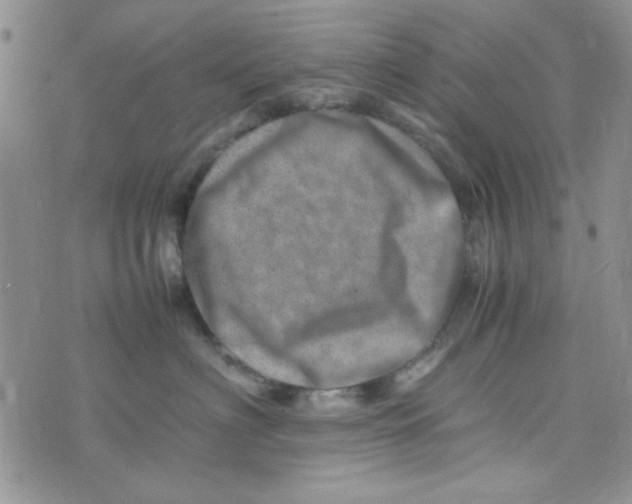 X0000075360622200609251103