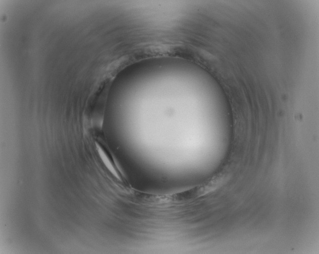 X0000075360624200609251103