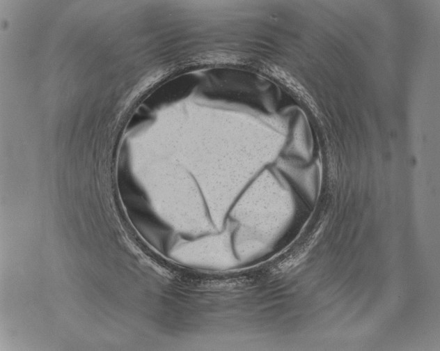 X0000075360625200609251102