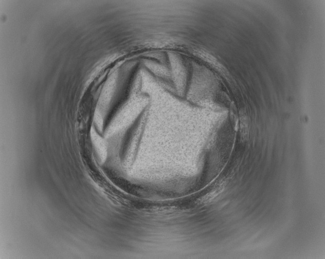 X0000075360626200609251102