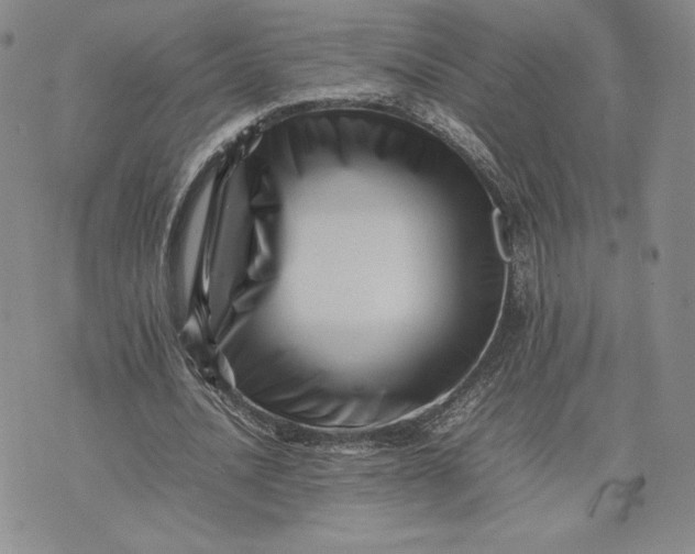 X0000075360628200609251102