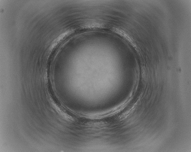 X0000075360629200609251102