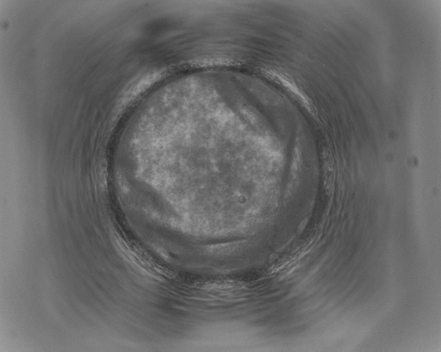 X0000075360631200609251103