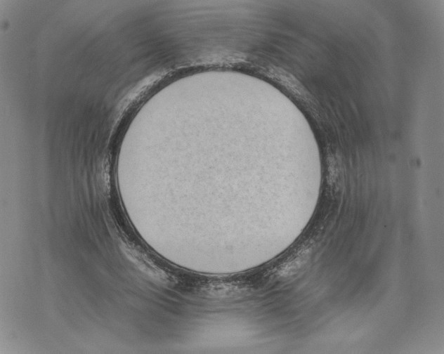 X0000075360632200609251103