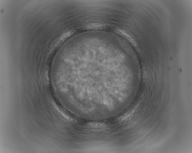 X0000075360633200609251103