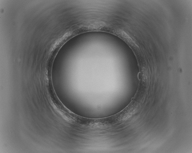 X0000075360634200609251103