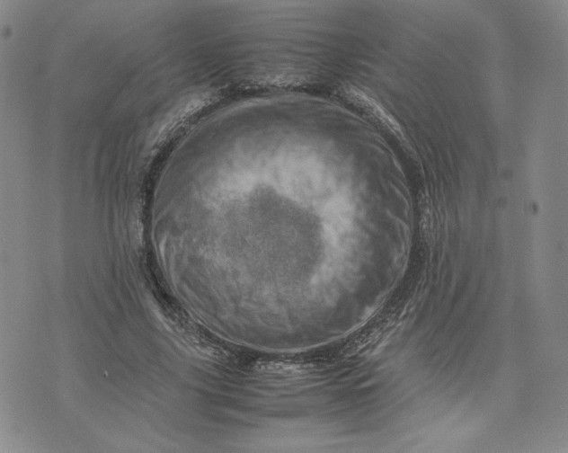 X0000075360635200609251103