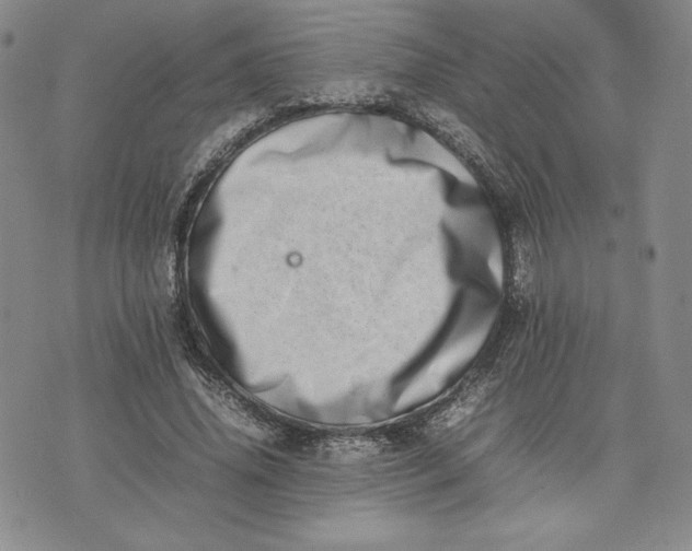 X0000075360636200609251103