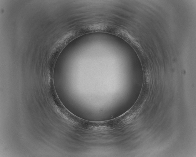 X0000075360637200609251103