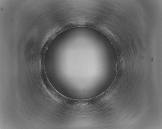 X0000075360638200609251103