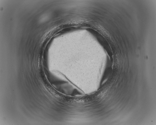 X0000075360640200609251103