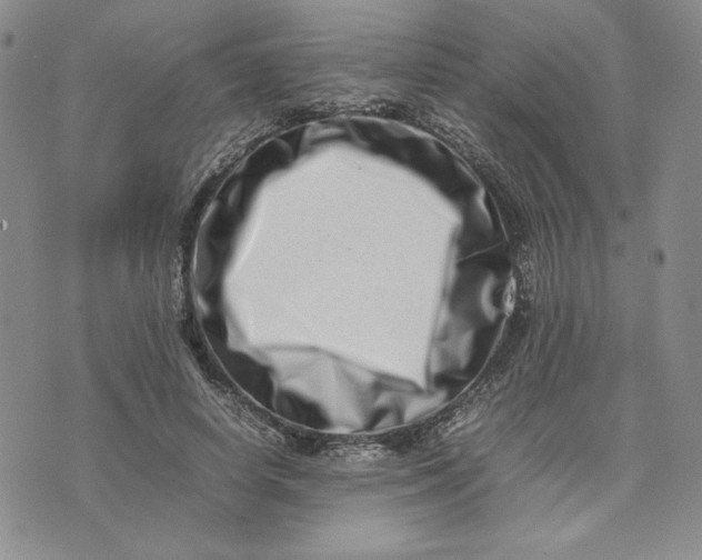 X0000075360642200609251103